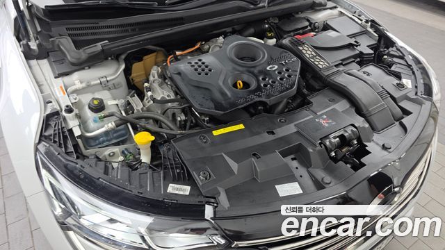Renault Korea SM6 2019 — photo 6