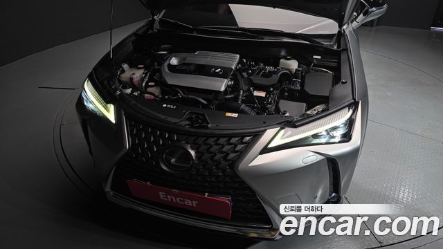Lexus UX 2019 — photo 6