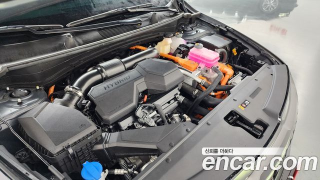 Kia Sportage 2025 — photo 6