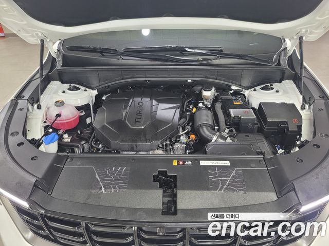Kia Sorento 2025 — photo 20