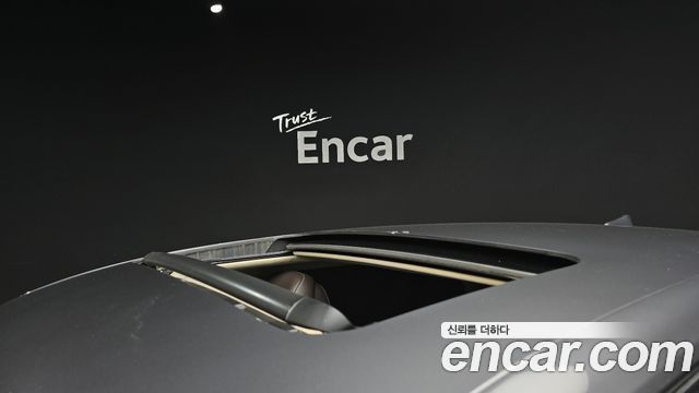 Genesis EQ900 2016 — photo 19