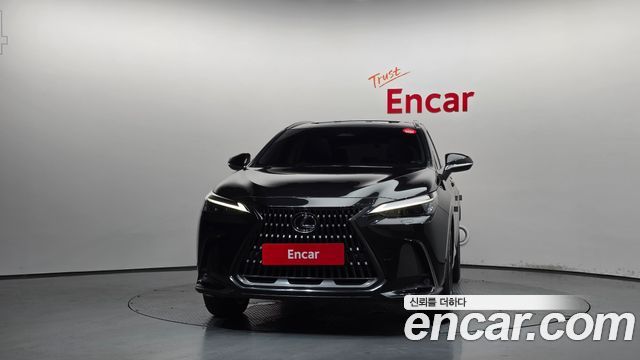 Lexus NX 2025 — photo 3