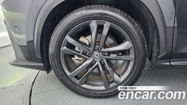 Lexus NX 2025 — photo 5