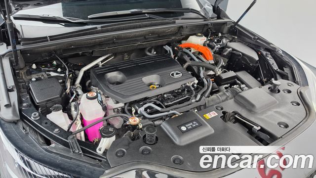 Lexus NX 2025 — photo 6