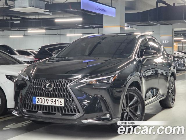 Lexus NX 2025 — photo 41