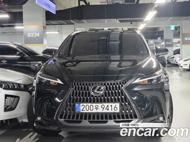 Lexus NX 2025 — photo 42