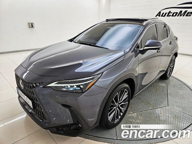 Lexus NX 2024 — photo 2