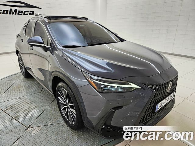 Lexus NX 2024 — photo 3
