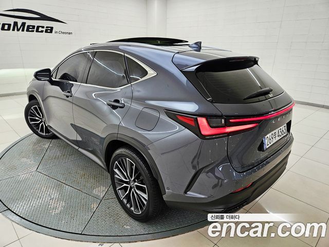Lexus NX 2024 — photo 4