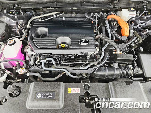 Lexus NX 2024 — photo 6