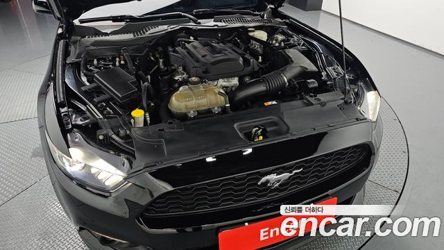 Ford Mustang 2017 — photo 6