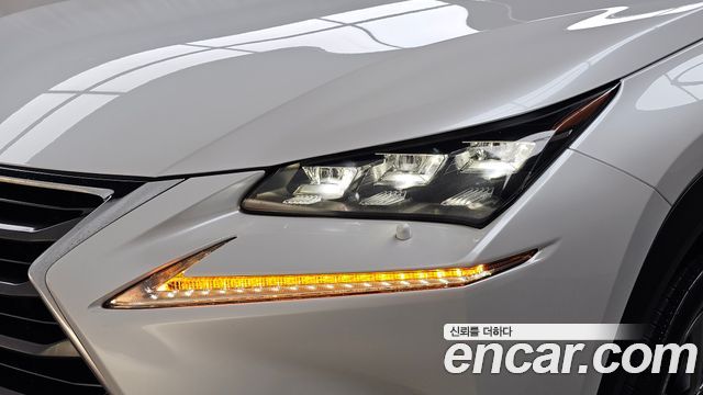 Lexus NX 2017 — photo 8