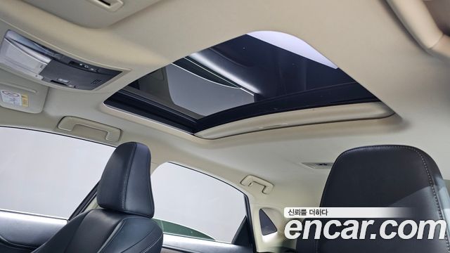 Lexus NX 2017 — photo 19