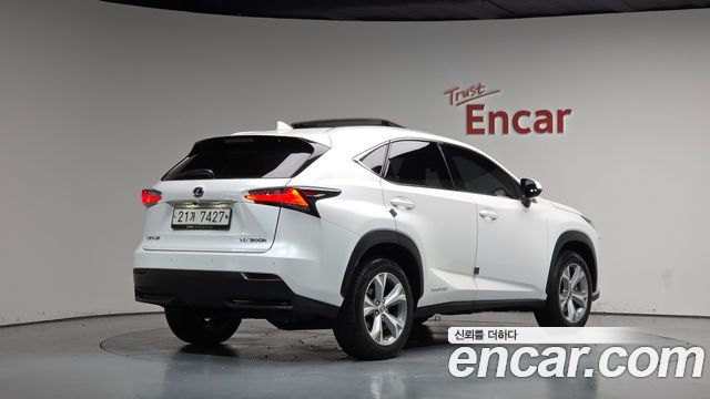 Lexus NX 2017 — photo 2