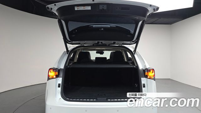 Lexus NX 2017 — photo 26