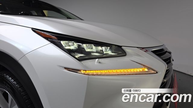 Lexus NX 2017 — photo 8