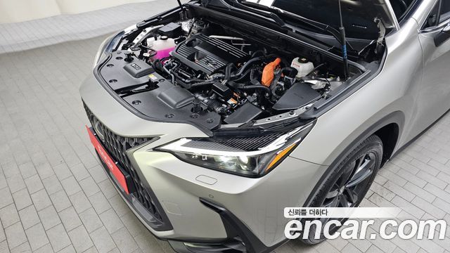 Lexus NX 2025 — photo 6