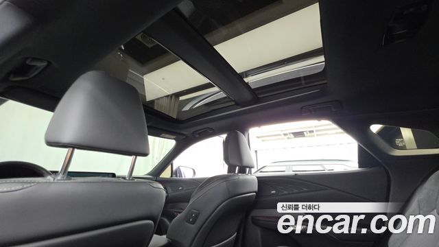 Lexus RX 2025 — photo 24