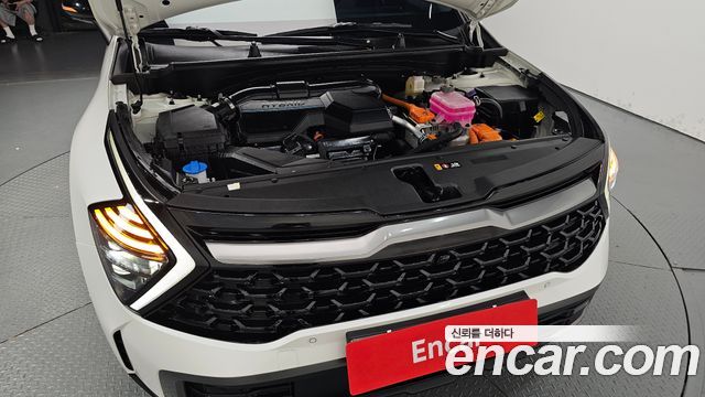 Kia Sportage 2024 — photo 6
