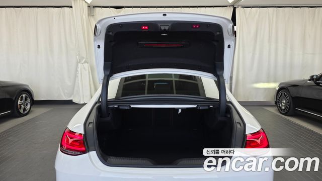 Mercedes-Benz CLS-Class 2019 — photo 26