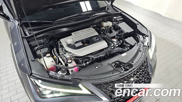 Lexus UX 2019 — photo 6