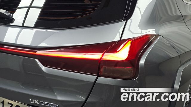 Lexus UX 2019 — photo 9