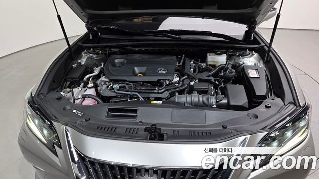 Lexus ES 2025 — photo 6