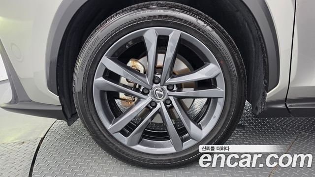 Lexus NX 2024 — photo 5