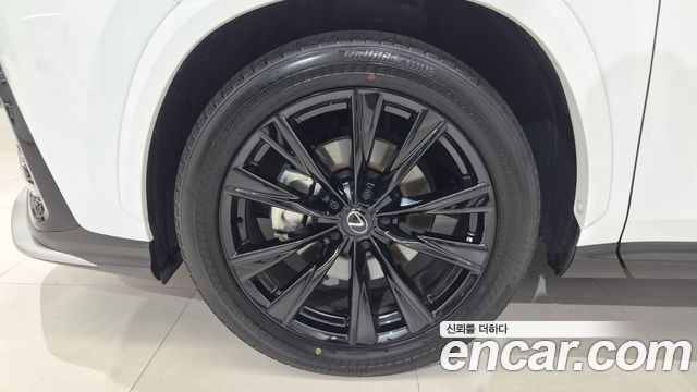 Lexus NX 2025 — photo 5