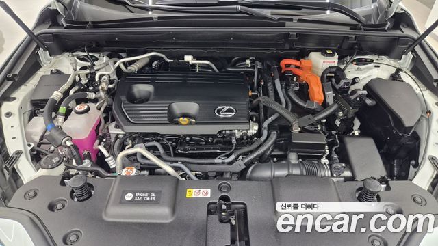 Lexus NX 2025 — photo 6