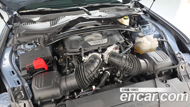 Ford Mustang 2024 — photo 6