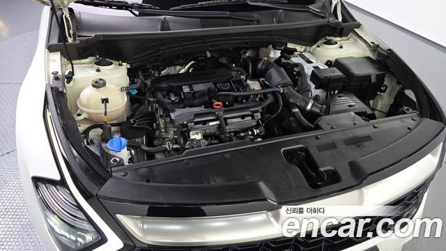 Kia Sportage 2022 — photo 6