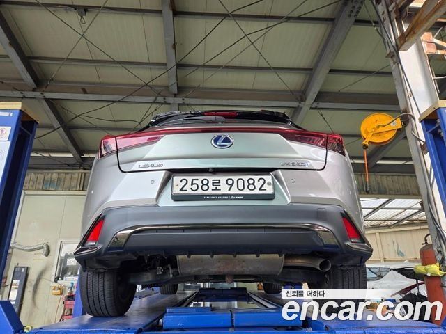 Lexus UX 2020 — photo 2
