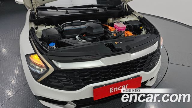 Kia Sportage 2023 — photo 6