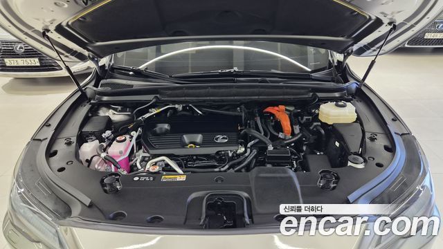 Lexus RX 2025 — photo 6