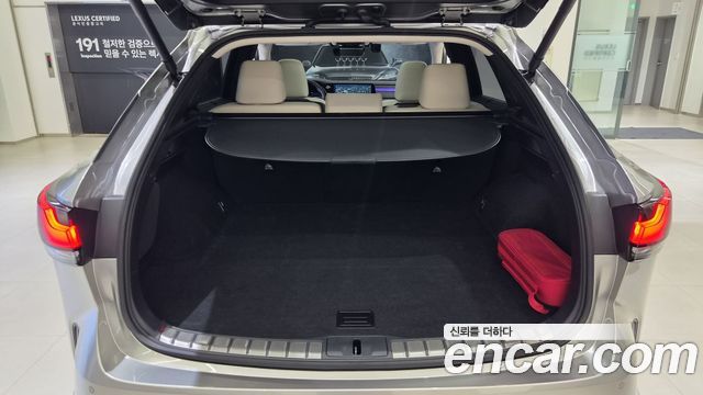 Lexus RX 2025 — photo 19