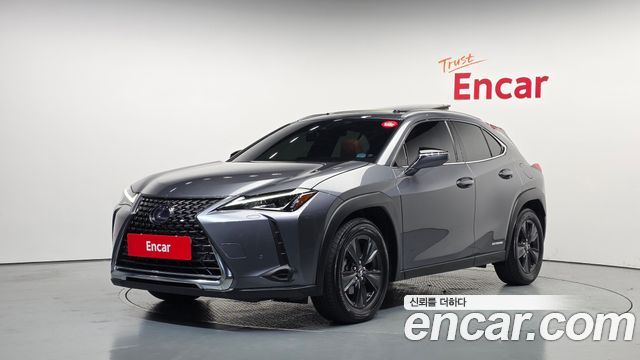 Lexus UX 2019 — photo 1