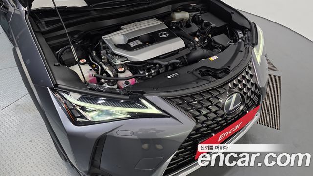 Lexus UX 2019 — photo 6