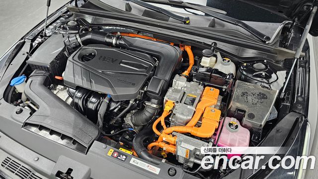 Kia K5 2023 — photo 6