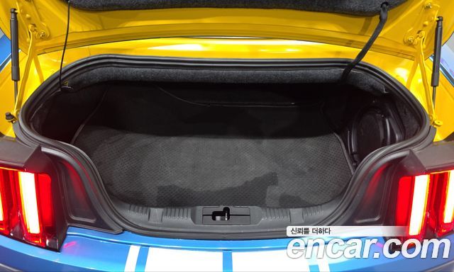 Ford Mustang 2015 — photo 20