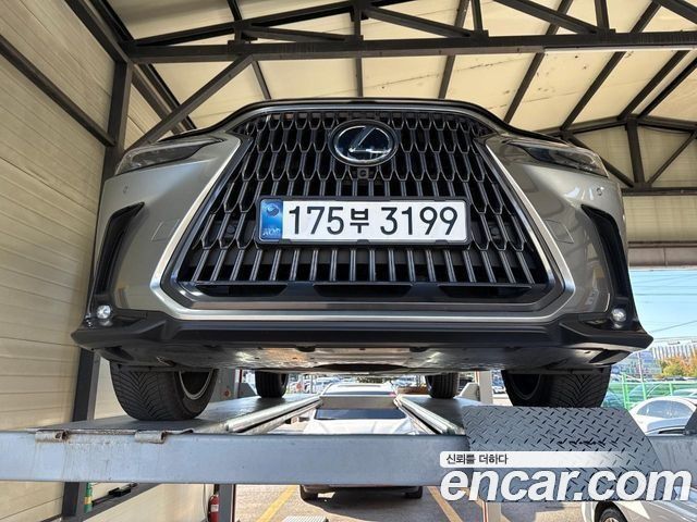 Lexus NX 2025 — photo 1