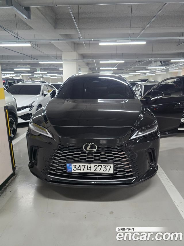 Lexus RX 2024 — photo 1