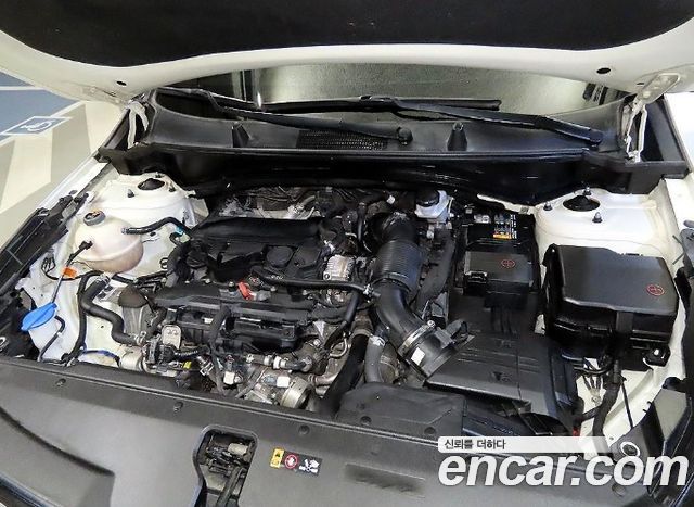 Kia Sportage 2022 — photo 19