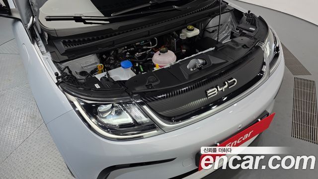 BYD Dolphin 2026 — photo 6