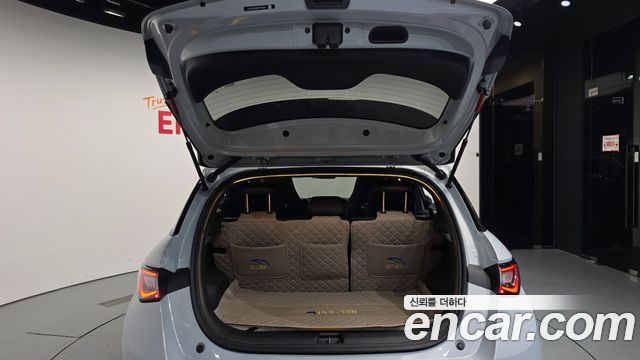 BYD Dolphin 2026 — photo 26