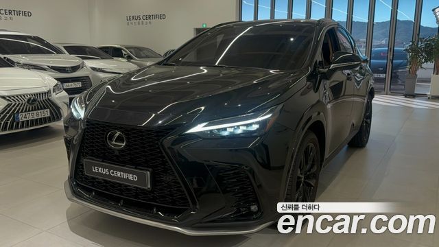Lexus NX 2025 — photo 1