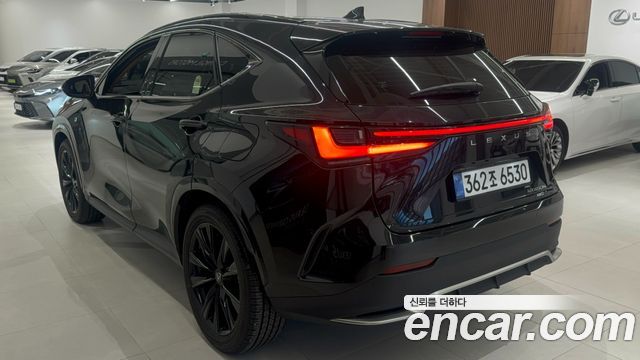 Lexus NX 2025 — photo 2