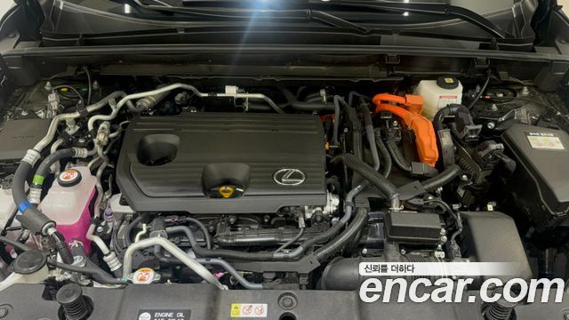 Lexus NX 2025 — photo 6