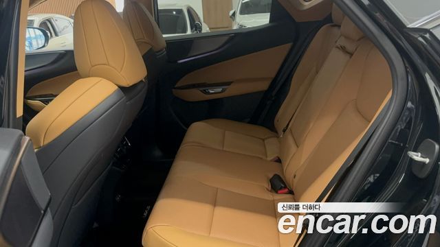 Lexus NX 2025 — photo 12