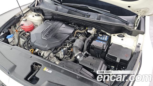 Kia Sportage 2023 — photo 6